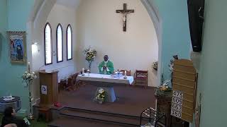 Holy Mass  30th Sunday in Ordinary Time  27th of October 2024 [upl. by Ffej179]