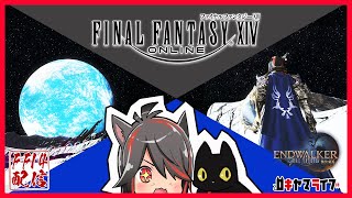 【FF14】リセ日のあれこれする！【FFXIV】 [upl. by Cassilda57]