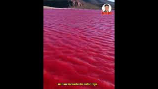 rio de sangre [upl. by Kohler]