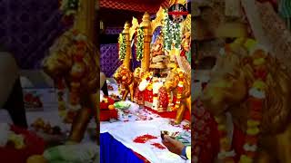 maa sherawali song  new devi song 2024  most popular bhajan  mata rani most popular bhajan [upl. by Delmar]