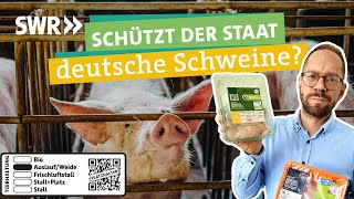 Fleisch aus guter Haltung – brauchen wir das staatliche Tierwohllabel I Ökochecker SWR [upl. by Thornton]