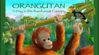 Childrens Read Along Books “Orangutan A Day In The Rainforest Canopy” by Rita Goldner [upl. by Allak]