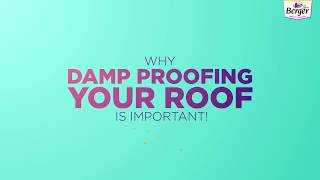 Why damp proofing your roof is important [upl. by Regazzi]