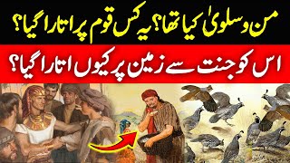 What is Man o Salwa  History of Man o Salwa  UrduHindi [upl. by Mallissa584]