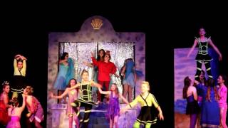 NPS Presents The Little Mermaid  Sebastian Highlight Reel [upl. by Elmore]