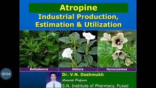 Atropine Industrial Production Estimation and Utilization [upl. by Bryan]