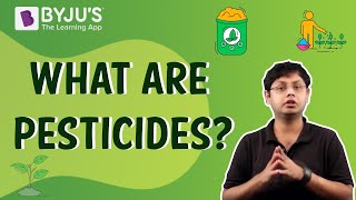 Pesticides  Uses Disadvantages and Advantages [upl. by Damha]