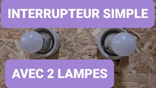 comment installer 2 Lampes avec un interrupteur 1bricolage [upl. by Joerg495]