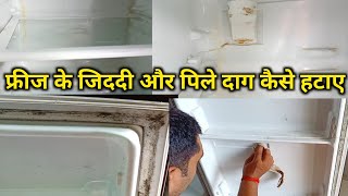 फ्रिज के जिददी दाग कैसे हटाएँ  Fridge Kaise Saaf Karen  Fridge Saaf Karne Ka Tarika  Freeze [upl. by Lais]