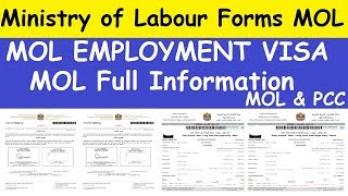 What is MOL Form l MOL Information About Employment Visa l Ministry of Labour Forms [upl. by Sandye]