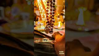 Arinthum ariyamalum Ayyappan songs sabarimala songs [upl. by Amy]