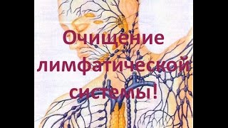 Очищение лимфатической системы  Методы и результаты [upl. by Aenad627]