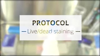 Protocol  livedead staining [upl. by Anilef873]