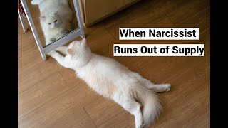 When Narcissist Runs Out of Supply Selfsupply Compilation [upl. by Eveneg]