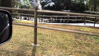 BADI FARM VIP FENCE [upl. by Zorana]