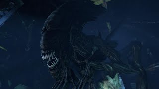 THE XENOMORPH QUEEN  Aliens Colonial Marines COOP Campaign Part 8 [upl. by Inad470]