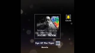 Eye Of The Tiger Remix 2024 [upl. by Arvin]