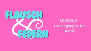 005  Trainingstipps für Hunde [upl. by Aneen]