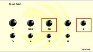 Choosing Shot Size [upl. by Vezza]