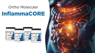 InflammaCORE  Your Solution for Gut Inflammation [upl. by Hendrick254]