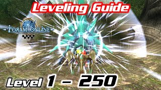 Leveling Guide 1  250  Fastest Route to Level Up amp Many Choices  Toram Online  RealityR [upl. by Kcered]