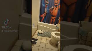 The cat Hanging out in the bathroom Subscribe [upl. by Lindon]