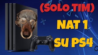 Come ottenere NAT TIPO 1 su ps4 TIM [upl. by Atsylak]