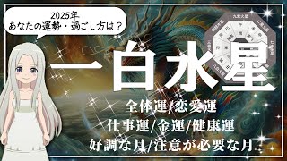 【2025年の一白水星いっぱくすいせいさんの運勢】何の心配もナシ◎あなたの魅力や才能をフルに生かして飛躍する1年 [upl. by Hartill]