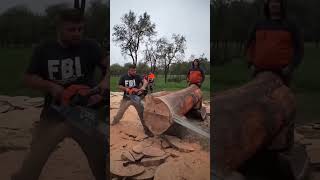 I guess Big Bear would run away if he sawchainsaw hardwaretools viralvideo foryou [upl. by Orvil]