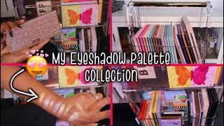 🩷 Eyeshadow Palette Collection With Swatches Over 100 Pallets [upl. by Endres]