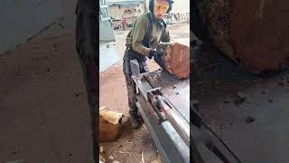 Dangerous Firewood Processor Shorts Viral Woodworking Skills [upl. by Rramo]