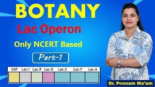 LAC OPERON  MOLECULAR BASIS OF INHERITANCE  NEET [upl. by Eatnuhs]