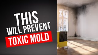 5 Ways to Prevent Toxic Mold [upl. by Mcleod]