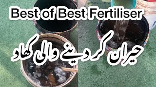 Best of Best FertilizerSurprise kar dainay wali fertilizer [upl. by Ynafetse571]