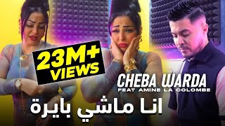 Cheba Warda ft Amine La Colombe  Ana Machi Bayra 2023 شابة وردة وامين الكولومب  انا ماشي بايرة [upl. by Marb]