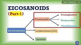 11 Eicosanoids Part 1 Prostanoids Prostaglandin Prostacyclin Thromboxane  Lipid Chemistry11 [upl. by Keare]