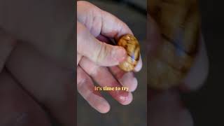 Turning soft wood hard to make a wooden bolo tie woodworking diy shorts [upl. by Harvard]