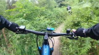 EMTB  Dalby Forest highlights of the red trail [upl. by Nalliuq]