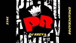 ENGANCHADOS DE PATRICIO REY Y SUS REDONDITOS DE RICOTA DJ SHEVA 2015 [upl. by Aissak]