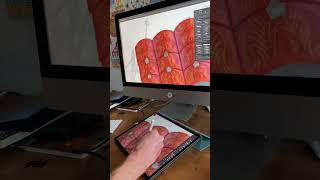 Why Astropad is better than a Wacom Tablet [upl. by Deroo426]