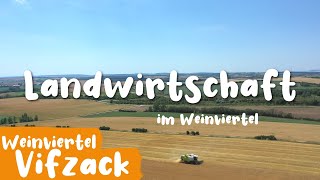 Landwirtschaft  Der Weinviertel Vifzack auf Entdeckungsreise [upl. by Madora]