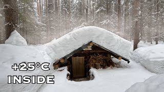 This SHELTER will SAVE your Life A COZY NIGHT IN A LOG CABIN UNDERGROUND SOLO BUSHCRAFT [upl. by Lhamaj]