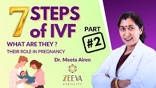 7 Steps of IVF 2  Dr Meeta Airen [upl. by Vivl57]