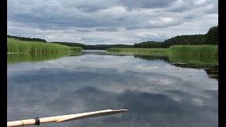 Jeziora Byszewskie Piaseczno i Krzywe koło Zalewu Koronowskiego [upl. by Atikcir]