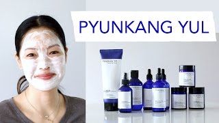 Pyunkang Yul  Brand Review amp Demo [upl. by Accber]