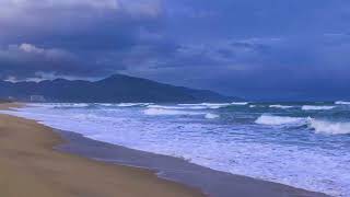 Ocean Sounds For Deep Sleep 🌷 The Most Relaxing Ocean Sand Palm 🌷Stress Relief Ocean Ambience [upl. by Salot]