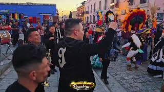 Banda La Joya de Antequera  Gallo Viejo  Oaxaca de Juárez [upl. by Enogitna]