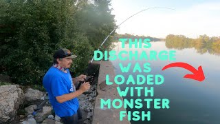 New Spot Equals Monster Fish Part 1Land Of GIANTS [upl. by Eiclek501]