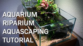 AQUASCAPING TUTORIAL AQUARIUM  RIPARIUM SET UP NO CO2 LOWTECH NANO AQUASCAPE [upl. by Shing833]