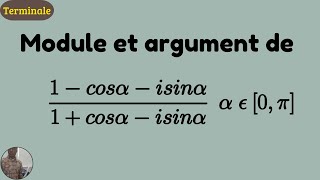 Comment Calculer le module dun nombre complexe  Mathématiques Terminale [upl. by Lucius701]